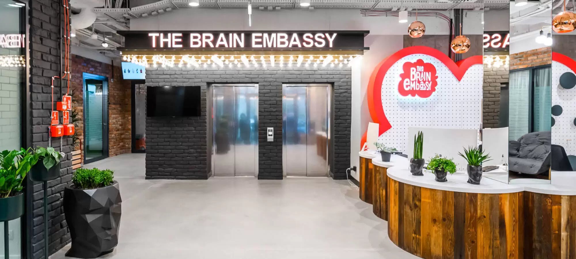  Brain Embassy Czackiego #1